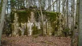 Wilczy Szaniec w Gierłoży zimą jeszcze lepiej widoczny - zdjęcie 97