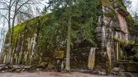 Wilczy Szaniec w Gierłoży zimą jeszcze lepiej widoczny - zdjęcie 99