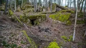 Wilczy Szaniec w Gierłoży zimą jeszcze lepiej widoczny - zdjęcie 115