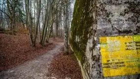 Wilczy Szaniec w Gierłoży zimą jeszcze lepiej widoczny - zdjęcie 124