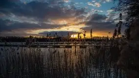 Zachód słońca widoczny w Sztynorcie, 27 luty 2020 - zdjęcie 23