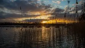 Zachód słońca widoczny w Sztynorcie, 27 luty 2020 - zdjęcie 12