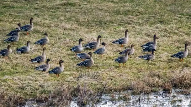 Wiosna w lutym na zdjęciach Stanisława Sielewicza - zdjęcie 9