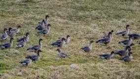 Wiosna w lutym na zdjęciach Stanisława Sielewicza - zdjęcie 12