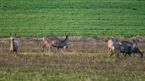 Wiosna w lutym na zdjęciach Stanisława Sielewicza - zdjęcie 10