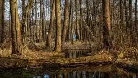 Mrągowo w marcowym słońcu 2020 - zdjęcie 9