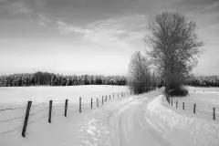 Zdjęcia: Mazurskie pejzaże na zdjęciach Janka Olchówki - zdjęcie 36