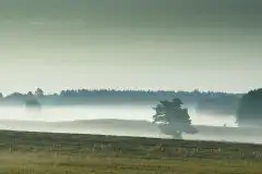 Zdjęcia: Mazurskie pejzaże na zdjęciach Janka Olchówki - zdjęcie 35