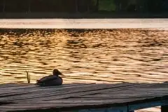 Zdjęcia: Mazurskie pejzaże na zdjęciach Janka Olchówki - zdjęcie 34