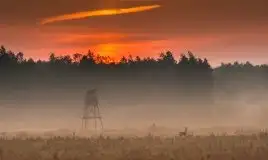 Zdjęcia: Mazurskie pejzaże na zdjęciach Janka Olchówki - zdjęcie 5