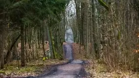 W poszukiwaniu wiosny, okolice Dobry i jez. Dobskiego - zdjęcie 11