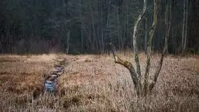 W poszukiwaniu wiosny, okolice Dobry i jez. Dobskiego - zdjęcie 19