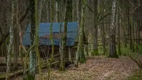 W poszukiwaniu wiosny, okolice Dobry i jez. Dobskiego - zdjęcie 28