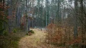 Ruciane Nida w marcowe popołudnie - zdjęcie 48