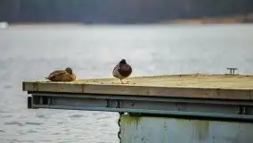 Ruciane Nida w marcowe popołudnie - zdjęcie 32