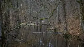 Ruciane Nida w marcowe popołudnie - zdjęcie 21