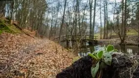 Ruciane Nida w marcowe popołudnie - zdjęcie 19