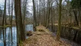 Ruciane Nida w marcowe popołudnie - zdjęcie 16