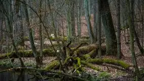 Ruciane Nida w marcowe popołudnie - zdjęcie 13