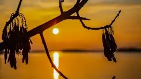 Marcowy zachód słońca nad jeziorem Dobskim - zdjęcie 14