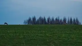 Marcowy zachód słońca nad jeziorem Dobskim - zdjęcie 25