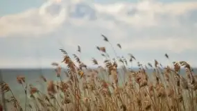 Marcowe kolory Nowych Gutów i jeziora Śniardwy - zdjęcie 40