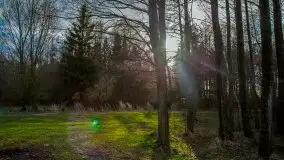 Marcowe kolory Nowych Gutów i jeziora Śniardwy - zdjęcie 21