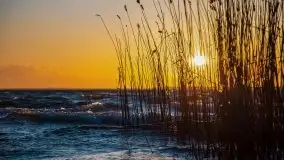 Marcowe kolory Nowych Gutów i jeziora Śniardwy - zdjęcie 6