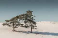 Zdjęcia: Mazurskie pejzaże na zdjęciach Janka Olchówki cz. II - zdjęcie 44