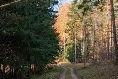 Zdjęcia: Mazurskie pejzaże na zdjęciach Janka Olchówki cz. II - zdjęcie 40