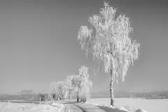 Zdjęcia: Mazurskie pejzaże na zdjęciach Janka Olchówki cz. II - zdjęcie 31