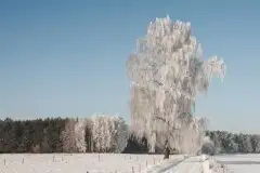 Zdjęcia: Mazurskie pejzaże na zdjęciach Janka Olchówki cz. II - zdjęcie 28