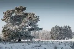 Zdjęcia: Mazurskie pejzaże na zdjęciach Janka Olchówki cz. II - zdjęcie 25