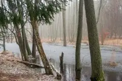 Zdjęcia: Mazurskie pejzaże na zdjęciach Janka Olchówki cz. II - zdjęcie 17