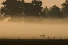 Zdjęcia: Mazurskie pejzaże na zdjęciach Janka Olchówki cz. II - zdjęcie 13