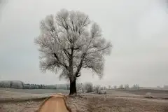 Zdjęcia: Mazurskie pejzaże na zdjęciach Janka Olchówki cz. II - zdjęcie 9