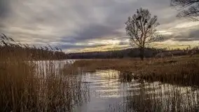 Okolice jeziora Patelnia i Kruklanek - zdjęcie 21