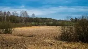 Okolice jeziora Patelnia i Kruklanek - zdjęcie 20