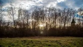 Okolice jeziora Patelnia i Kruklanek - zdjęcie 16