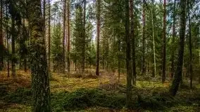 Okolice jeziora Patelnia i Kruklanek - zdjęcie 14