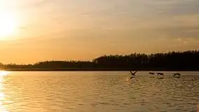 Jezioro Stręgiel skąpane w złocie zachodu słońca - zdjęcie 17