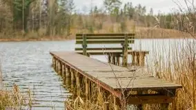 Las nad jeziorem Białym i rzeką Sapiną, marzec 2020 - zdjęcie 40