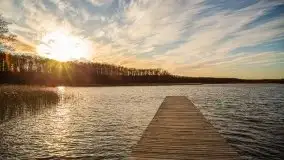 Okolice mostu Sztynorckiego, marzec 2020 - zdjęcie 15