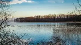 Okolice mostu Sztynorckiego, marzec 2020 - zdjęcie 39