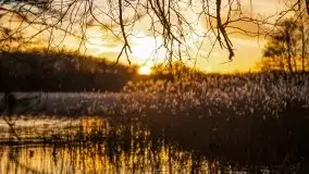 Okolice mostu Sztynorckiego, marzec 2020 - zdjęcie 31