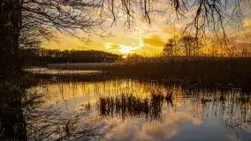 Okolice mostu Sztynorckiego, marzec 2020 - zdjęcie 40