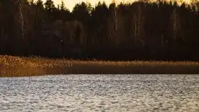 Złote Ogonki i jezioro Święcajty pierwszego dnia wiosny 2020 - zdjęcie 51