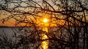 Złote Ogonki i jezioro Święcajty pierwszego dnia wiosny 2020 - zdjęcie 45