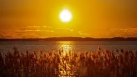 Złote Ogonki i jezioro Święcajty pierwszego dnia wiosny 2020 - zdjęcie 44