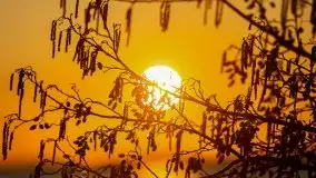 Złote Ogonki i jezioro Święcajty pierwszego dnia wiosny 2020 - zdjęcie 43